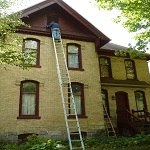 A BatPro working on a historical structure removing several bat colonies.